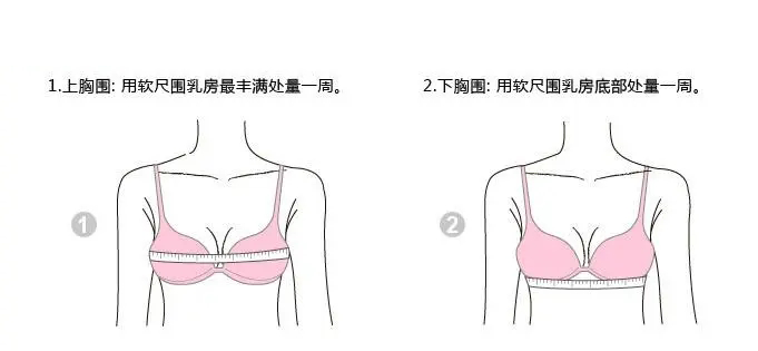 胸围尺码对照表